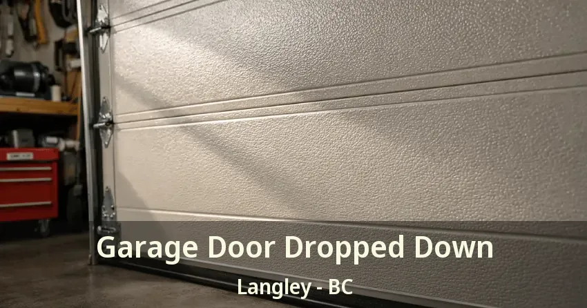 Garage Door Dropped Down Langley - BC Garage Door Dropped Down Langley - BC